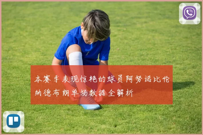 本赛季表现惊艳的球员阿努诺比伦纳德布朗单场数据全解析